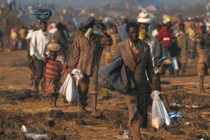 Ученые: Земле грозит голод Ученые: Земле грозит голод