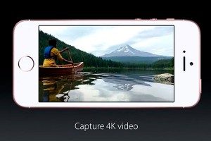 Apple рухнула от бюджетного iPhone Apple рухнула от бюджетного iPhone