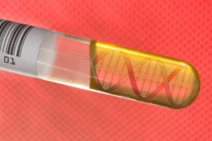 В ДНК человека найден древний вирус В ДНК человека найден древний вирус