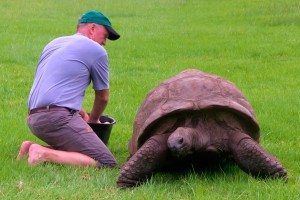 184-летняя черепаха впервые приняла душ 184-летняя черепаха впервые приняла душ