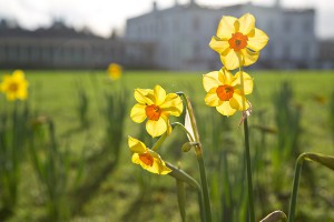 Синоптики объявили о приходе весны Синоптики объявили о приходе весны