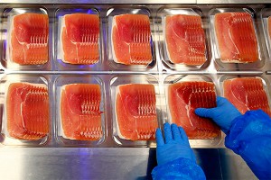 Новый закон обрек на штрафы производителей мяса Новый закон обрек на штрафы производителей мяса