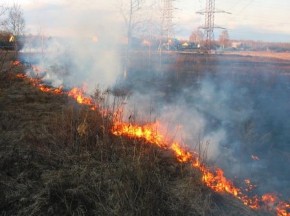МЧС предупреждает об опасности сжигания сухой травы