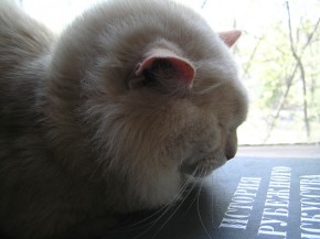 Информация по устройству животных от Эгиды