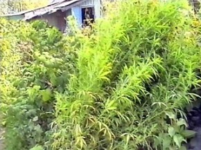 Педагог сядет в тюрьму за продажу наркотиков