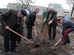 Новый сквер заложен в госпитале для ветеранов Фото пресс-службы администрации Брянской области