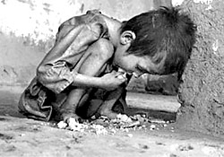 Всемирный голод