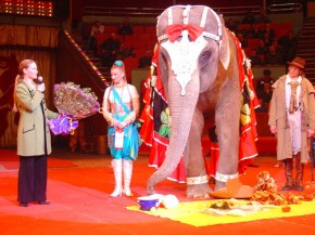 День рождения слонихи Ранги отметили в Брянском цирке