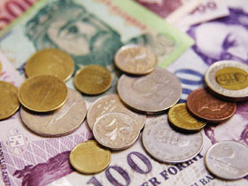 В брянское сельское хозяйство пришел инвестор