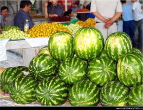 В нашем регионе начинается бахчевой сезон