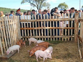 Брянск ожидает Свенскую ярмарку