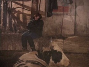 Брянские милиционеры проверили фермы области