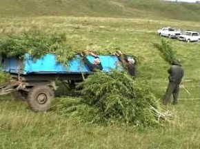 Подведены итоги 1-го этапа оперативно-профилактической операции "Мак" Фото пресс-службы УФСКН РФ по Брянской области