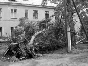 Стихия заставила брянских энергетиков работать