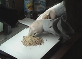 Наркоторговцы продавали героин во дворе школы Героин