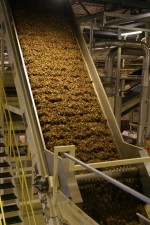 Marlboro Filter Plus. 